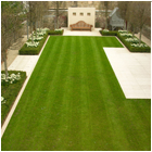 Elgin Garden